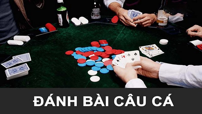 Lập kế hoạch đánh bài câu cá chi tiết nhất